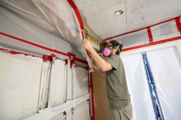 Best Emergency Mold Remediation  in Beale Af, CA