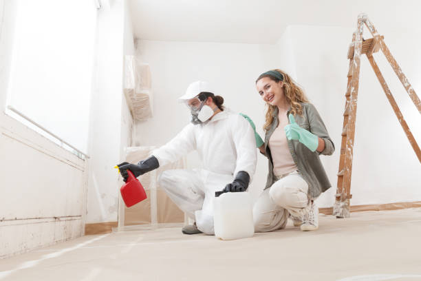 Best Mold-Related Health Consultation  in Beale Af, CA